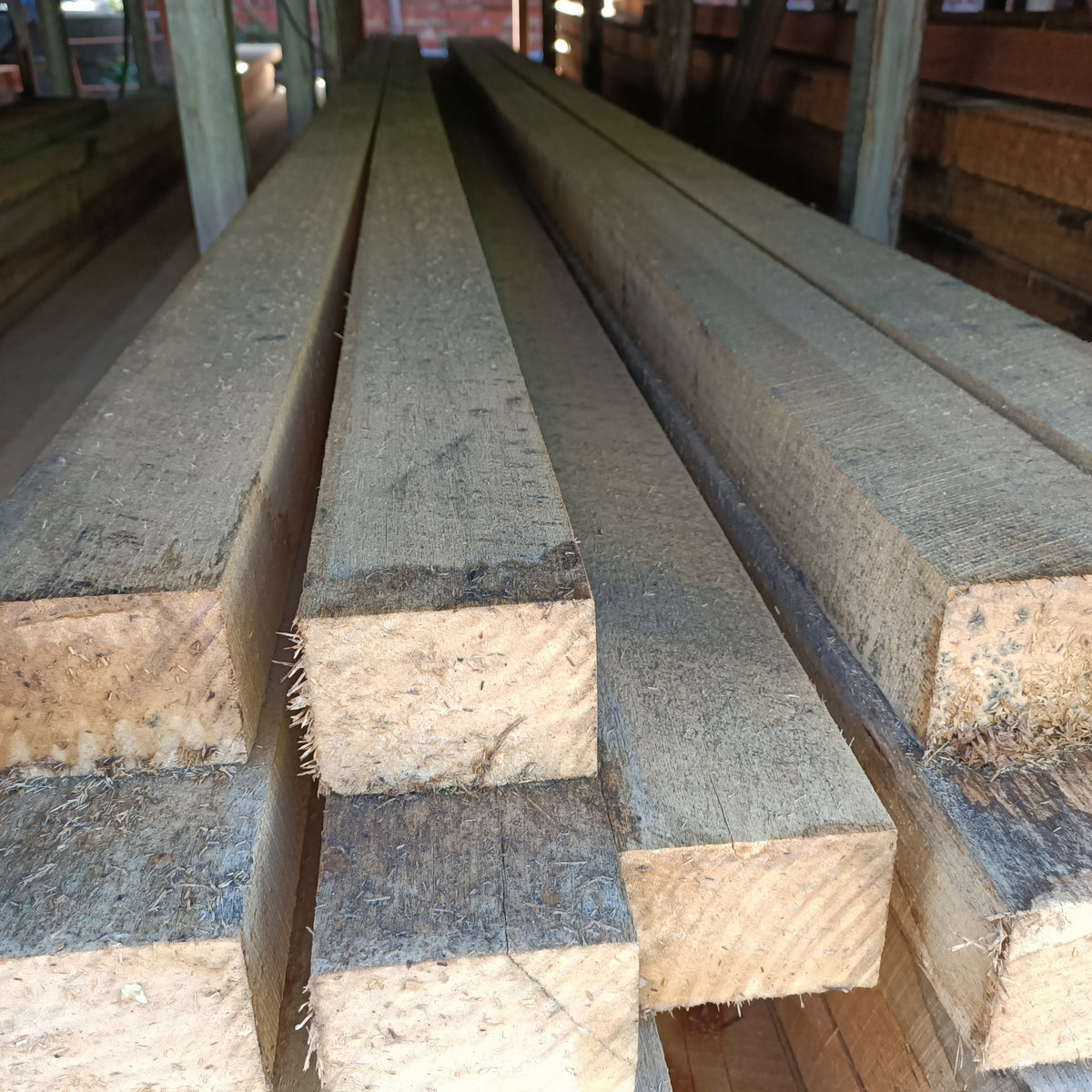 Hardwood Sawn Green F11 100x50 – Warringah Timbers